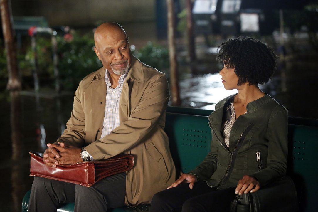 Ein kurzer Augenblick mit Dr. Maggie Pierce (Kelly McCreary, r.) verändert das Leben von Richard (James Pickens, Jr, l.) ... - Bildquelle: Kelsey McNeal 2014 American Broadcasting Companies, Inc. All rights reserved.