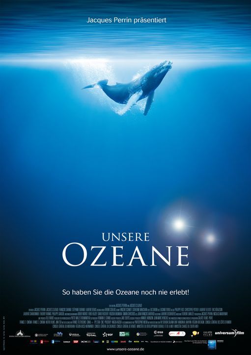 Die Dokumentation "Unsere Ozeane" entführt in die Tiefen der fünf Weltmeere. - Bildquelle: Universum Film