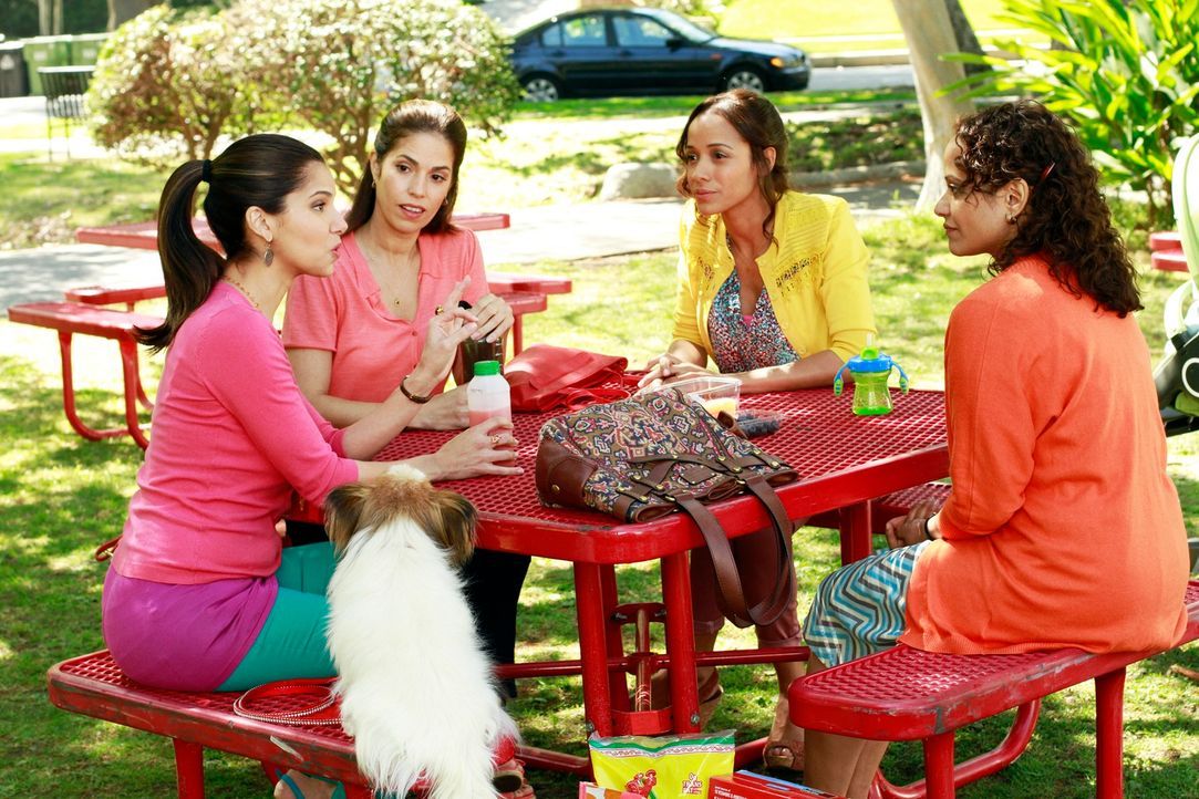 Arbeiten alle als Hausmädchen in Beverly Hills - doch jede aus ihrem ganz speziellen Grund: Marisol (Ana Ortiz, 2.v.l.), Rosie (Dania Ramirez, 2.v.r... - Bildquelle: ABC Studios