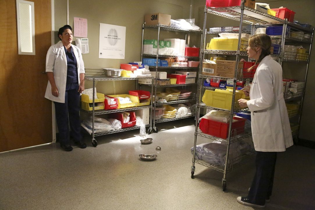 Callie (Sara Ramirez, l.) macht ihrem Ärger bei Meredith (Ellen Pompeo, r.) Luft, obwohl die Ärztin mit ihren eigenen Problemen zu kämpfen hat ... - Bildquelle: ABC Studios